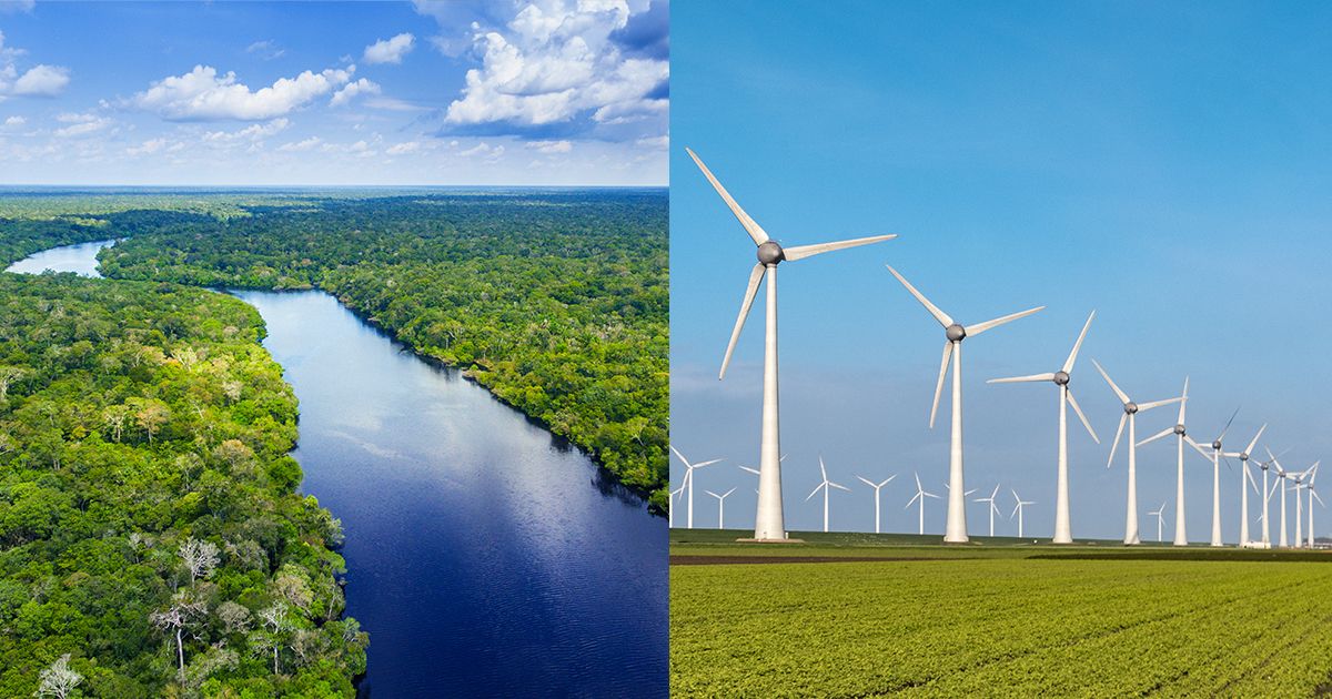 Déforester l'Amazonie pour construire des éoliennes à énergie verte ?