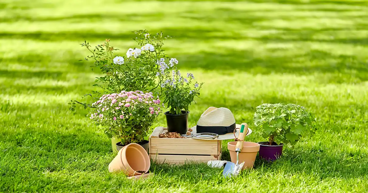 Problèmes de Sommeil ? Le jardinage peut aider