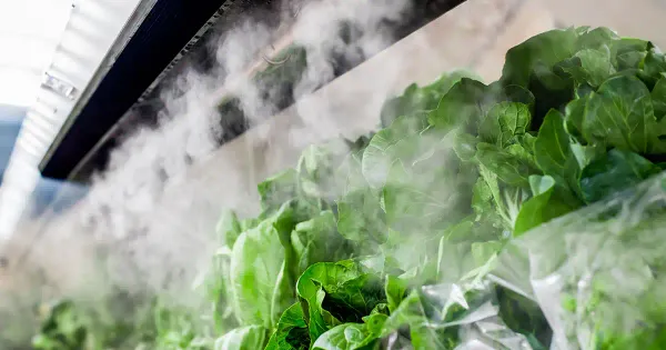 Alerte consommateur : votre épicier vaporise ces légumes frais avec des produits chimiques ?