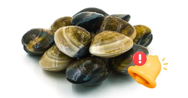 Consommez-vous des fruits de mer contaminés par cette toxine paralysante ?