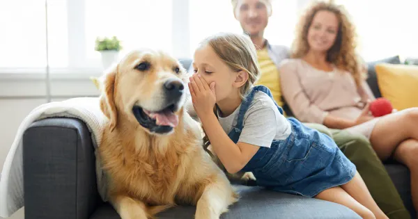 Ce que votre chien pense réellement de ce langage